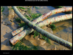 IMG040 (1) (1) (1) (1) (1) (1) (1) (1) (1) (1) (1) (1) (1)