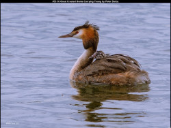 IMG040 (1) (1) (1) (1) (1) (1) (1) (1) (1) (1) (1) (1) (1) (1)