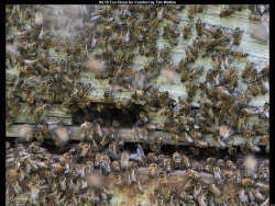 IMG040 (1) (1) (1) (1) (1) (1) (1) (1) (1) (1) (1) (1) (1) (1) (1) (1)