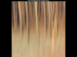 IMG040 (1) (1) (1) (1) (1) (1) (1) (1) (1) (1) (1) (1) (1) (1) (1) (1) (1) (1) (1) (1) (1) (1) (1) (1) (1) (1) (1) (1)