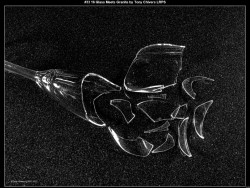 IMG041 (1) (1) (1) (1) (1) (1) (1) (1) (1) (1) (1) (1)