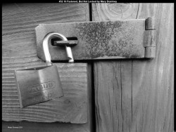 IMG041 (1) (1) (1) (1) (1) (1) (1) (1) (1) (1) (1) (1) (1)