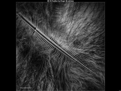 IMG041 (1) (1) (1) (1) (1) (1) (1) (1) (1) (1) (1) (1) (1) (1)