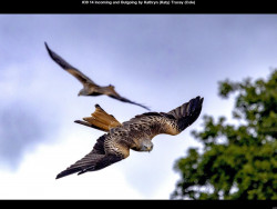 IMG041 (1) (1) (1) (1) (1) (1) (1) (1) (1) (1) (1) (1) (1) (1) (1)