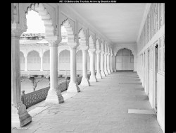 IMG041 (1) (1) (1) (1) (1) (1) (1) (1) (1) (1) (1) (1) (1) (1) (1) (1) (1) (1) (1)