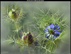 IMG041 (1) (1) (1) (1) (1) (1) (1) (1) (1) (1) (1) (1) (1) (1) (1) (1) (1) (1) (1) (1)