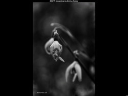 IMG041 (1) (1) (1) (1) (1) (1) (1) (1) (1) (1) (1) (1) (1) (1) (1) (1) (1) (1) (1) (1) (1) (1) (1) (1) (1) (1)