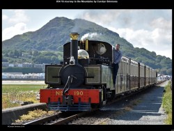 IMG042 (1) (1) (1) (1) (1) (1)