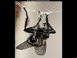 IMG042 (1) (1) (1) (1) (1) (1) (1) (1) (1) (1) (1)