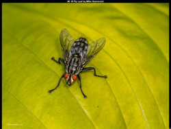 IMG042 (1) (1) (1) (1) (1) (1) (1) (1) (1) (1) (1) (1) (1) (1)