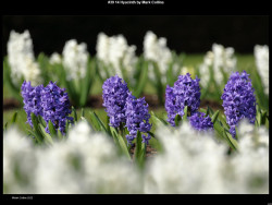 IMG042 (1) (1) (1) (1) (1) (1) (1) (1) (1) (1) (1) (1) (1) (1) (1)