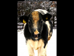 IMG042 (1) (1) (1) (1) (1) (1) (1) (1) (1) (1) (1) (1) (1) (1) (1) (1) (1) (1) (1) (1) (1) (1) (1)