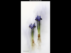 IMG042 (1) (1) (1) (1) (1) (1) (1) (1) (1) (1) (1) (1) (1) (1) (1) (1) (1) (1) (1) (1) (1) (1) (1) (1) (1)