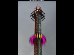 IMG043 (1) (1) (1) (1) (1) (1) (1) (1)