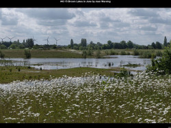 IMG043 (1) (1) (1) (1) (1) (1) (1) (1) (1) (1) (1)