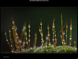 IMG043 (1) (1) (1) (1) (1) (1) (1) (1) (1) (1) (1) (1)