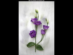 IMG043 (1) (1) (1) (1) (1) (1) (1) (1) (1) (1) (1) (1) (1) (1) (1) (1) (1) (1)