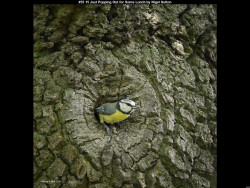 IMG043 (1) (1) (1) (1) (1) (1) (1) (1) (1) (1) (1) (1) (1) (1) (1) (1) (1) (1) (1) (1) (1) (1)