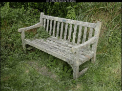 IMG044 (1) (1) (1) (1) (1) (1) (1) (1)