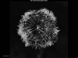 IMG044 (1) (1) (1) (1) (1) (1) (1) (1) (1) (1)