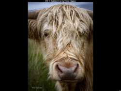 IMG044 (1) (1) (1) (1) (1) (1) (1) (1) (1) (1) (1) (1)