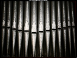 IMG044 (1) (1) (1) (1) (1) (1) (1) (1) (1) (1) (1) (1) (1)