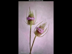 IMG044 (1) (1) (1) (1) (1) (1) (1) (1) (1) (1) (1) (1) (1) (1) (1)