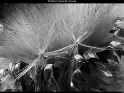 IMG044 (1) (1) (1) (1) (1) (1) (1) (1) (1) (1) (1) (1) (1) (1) (1) (1)