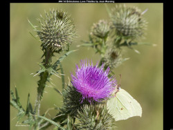 IMG044 (1) (1) (1) (1) (1) (1) (1) (1) (1) (1) (1) (1) (1) (1) (1) (1) (1) (1) (1) (1)