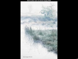 IMG045 (1) (1) (1) (1) (1)