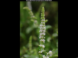 IMG045 (1) (1) (1) (1) (1) (1) (1) (1)