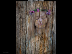 IMG045 (1) (1) (1) (1) (1) (1) (1) (1) (1)