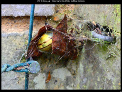 IMG045 (1) (1) (1) (1) (1) (1) (1) (1) (1) (1) (1)