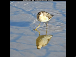 IMG045 (1) (1) (1) (1) (1) (1) (1) (1) (1) (1) (1) (1) (1) (1)