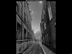 IMG046 (1) (1) (1) (1) (1) (1) (1) (1) (1)