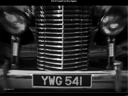 IMG046 (1) (1) (1) (1) (1) (1) (1) (1) (1) (1)