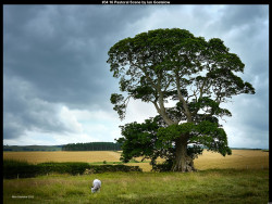 IMG046 (1) (1) (1) (1) (1) (1) (1) (1) (1) (1) (1) (1) (1) (1)