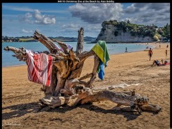 IMG047 (1) (1) (1) (1) (1)