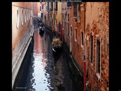 IMG047 (1) (1) (1) (1) (1) (1)