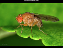 IMG047 (1) (1) (1) (1) (1) (1) (1) (1) (1) (1) (1)