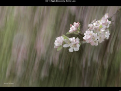 IMG047 (1) (1) (1) (1) (1) (1) (1) (1) (1) (1) (1) (1)