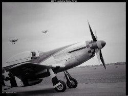 IMG047 (1) (1) (1) (1) (1) (1) (1) (1) (1) (1) (1) (1) (1)