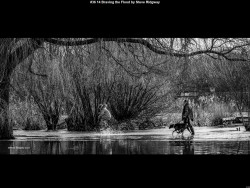 IMG047 (1) (1) (1) (1) (1) (1) (1) (1) (1) (1) (1) (1) (1) (1) (1) (1)