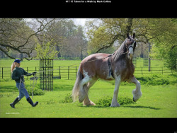 IMG047 (1) (1) (1) (1) (1) (1) (1) (1) (1) (1) (1) (1) (1) (1) (1) (1) (1) (1)