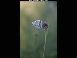 IMG047 (1) (1) (1) (1) (1) (1) (1) (1) (1) (1) (1) (1) (1) (1) (1) (1) (1) (1) (1)