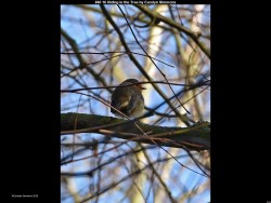 IMG048 (1) (1) (1) (1) (1)