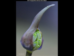 IMG048 (1) (1) (1) (1) (1) (1) (1) (1) (1)