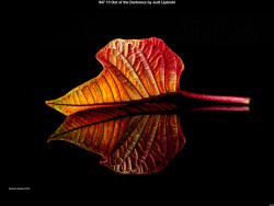 IMG048 (1) (1) (1) (1) (1) (1) (1) (1) (1) (1) (1)