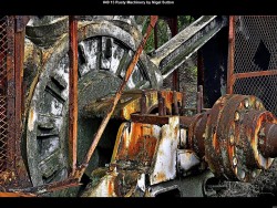 IMG049 (1) (1) (1) (1) (1) (1)