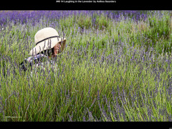 IMG049 (1) (1) (1) (1) (1) (1) (1) (1)